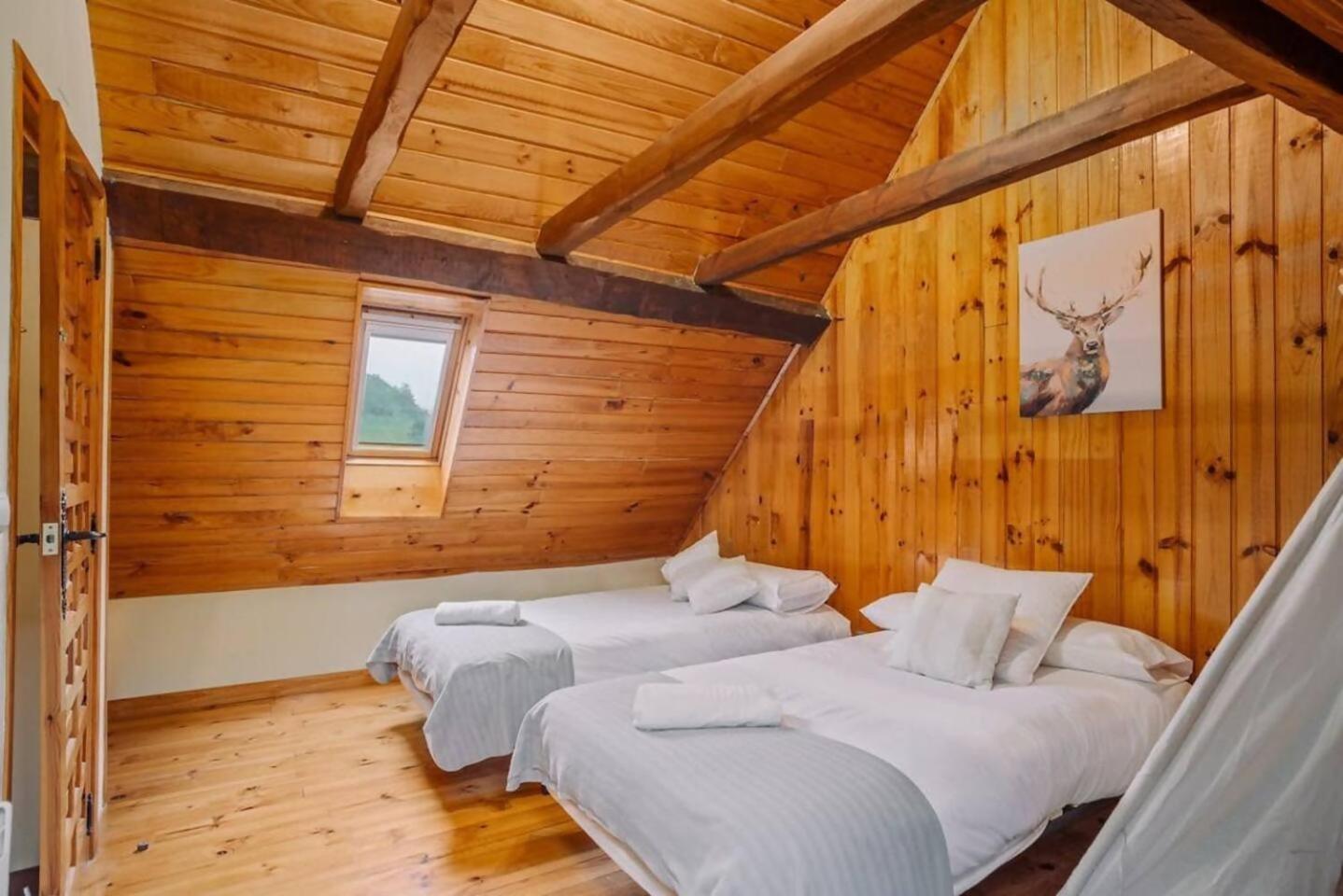 Casa Rural Arix Sallent de Gállego المظهر الخارجي الصورة